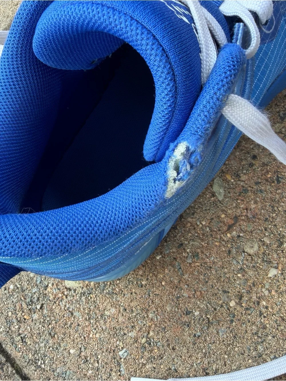 Men's Jordan Tatum 3 - Color: Bluebird